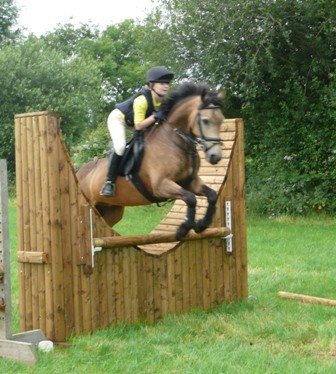 photo alternative text...