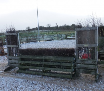 5yr old fence rebirched