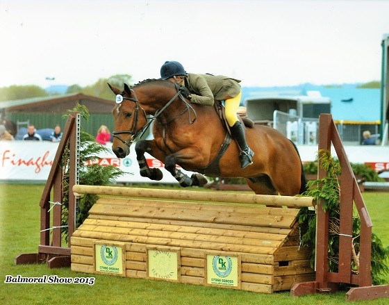 "Redwood Thor" jumping our fence @ Balmoral 2015 ridden by Emma Jackson