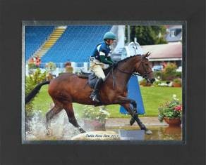 Redwood Clover Reserve in Future Event Horse League 2013.